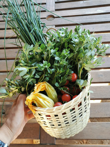 Food & Drinks, Adagio Guesthouse, Torino