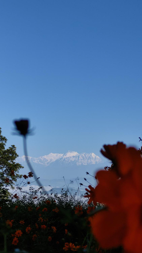 Others 3, Hotel Depche, Gandaki