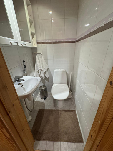Bathroom, Porotila Toini Sanila, Lapland