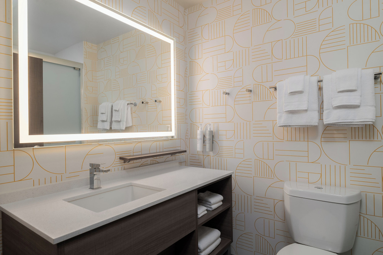 Bathroom 3, Home2 Suites By Hilton Riverview Tampa, Hillsborough