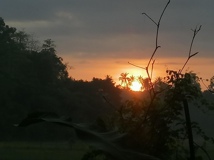 Others 4, Dilainya Homestay Mirissa, Weligama