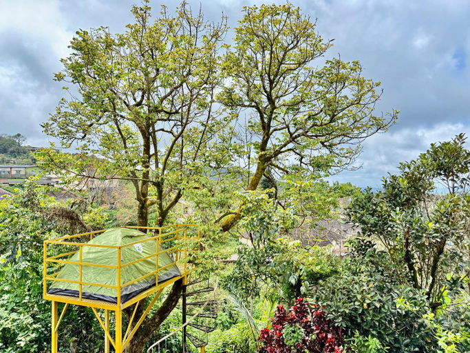 Others 2, ABODE Backpacker's Hostel, Kodagu