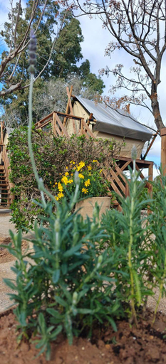 Exterior & Views, Camping Valencia el Saler, Valencia