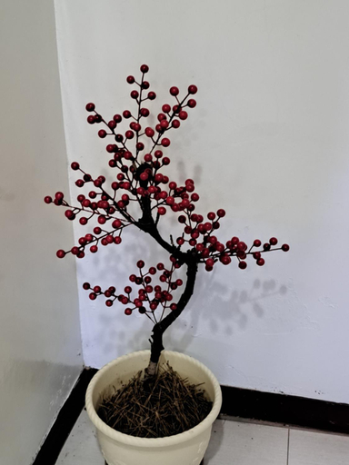 Others 5, House of love, Pingtung
