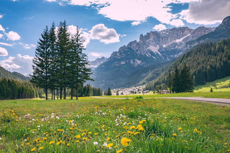 Others 3, Dolomiti Luxury Mountain View BIKE FRIENDLY, Trento