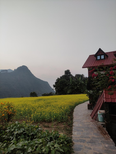 Others 4, Hotel Depche, Gandaki