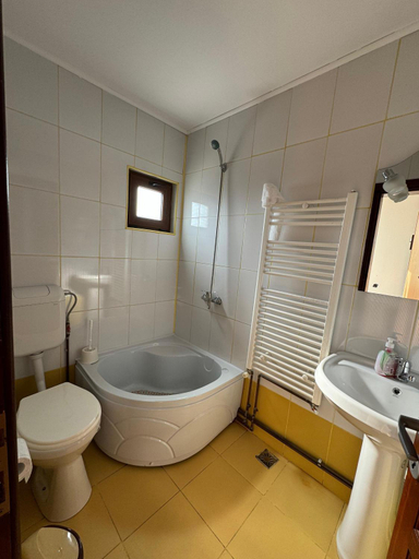 Bathroom 5, Pensiunea Namaesti, Valea Mare Pravat