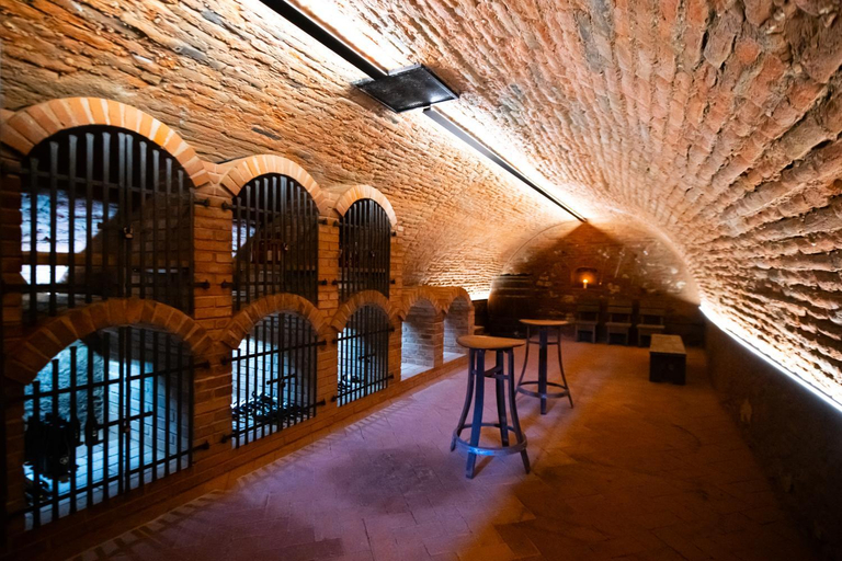Food & Drinks 4, Husi placek s vinnym sklepem a terasou, Břeclav
