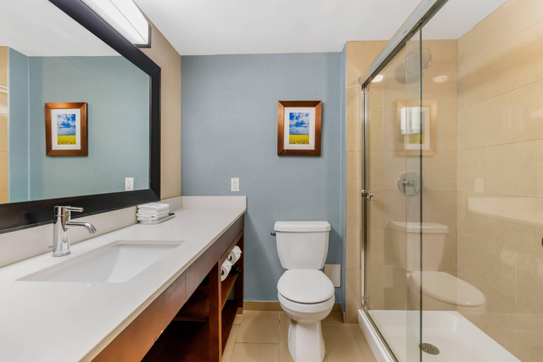 Bathroom 5, Clarion Hotel & Suites, Division No. 7