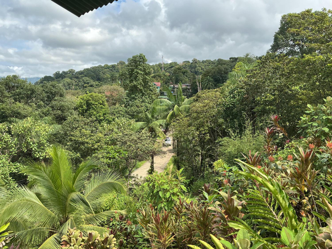 Others 5, Corcovado Air, Osa