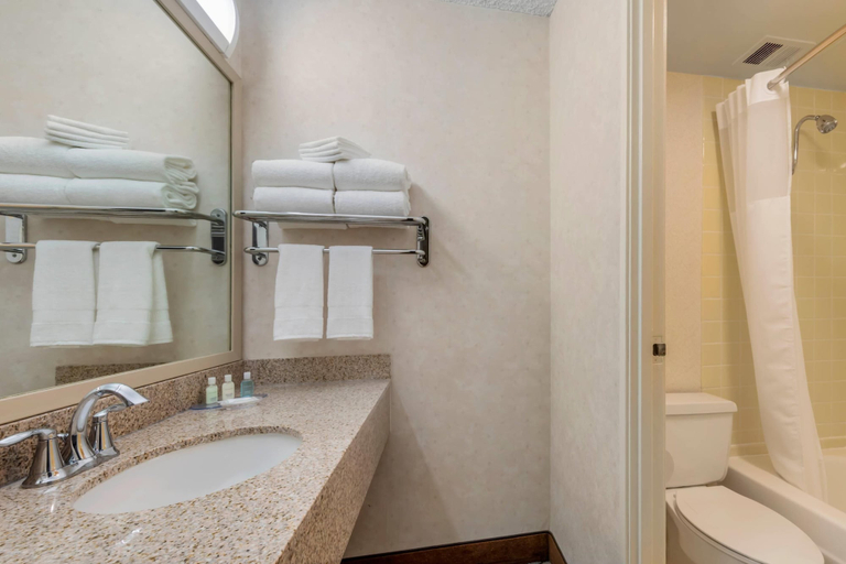 Bathroom 4, Clarion Hotel Anaheim Resort, Orange