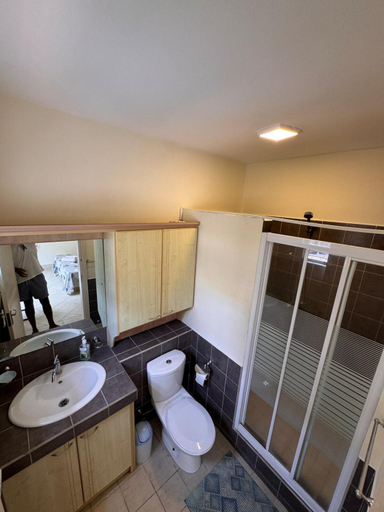 Bathroom 3, Richland Villas, Black River