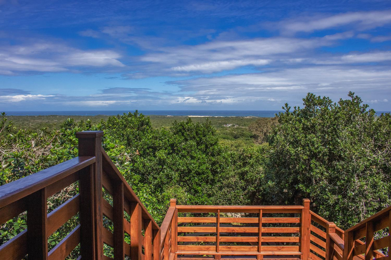 Others 4, Treetop Guesthouse, Nelson Mandela Bay