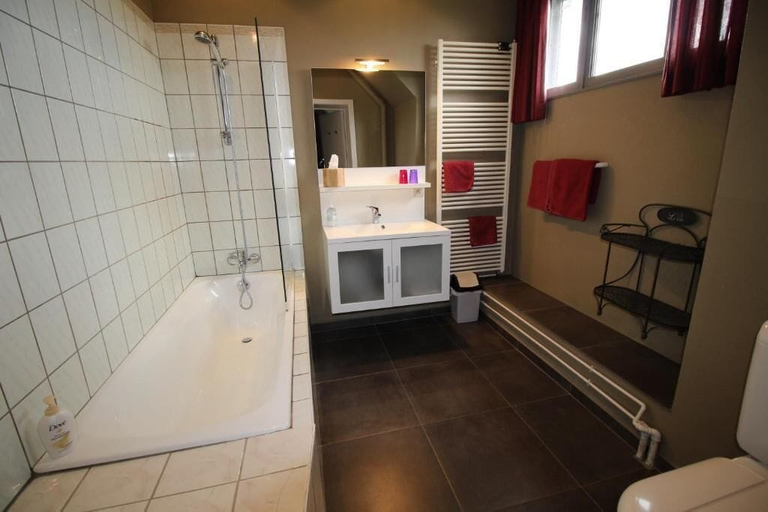 Bathroom 5, Les Alisiers, Luxembourg