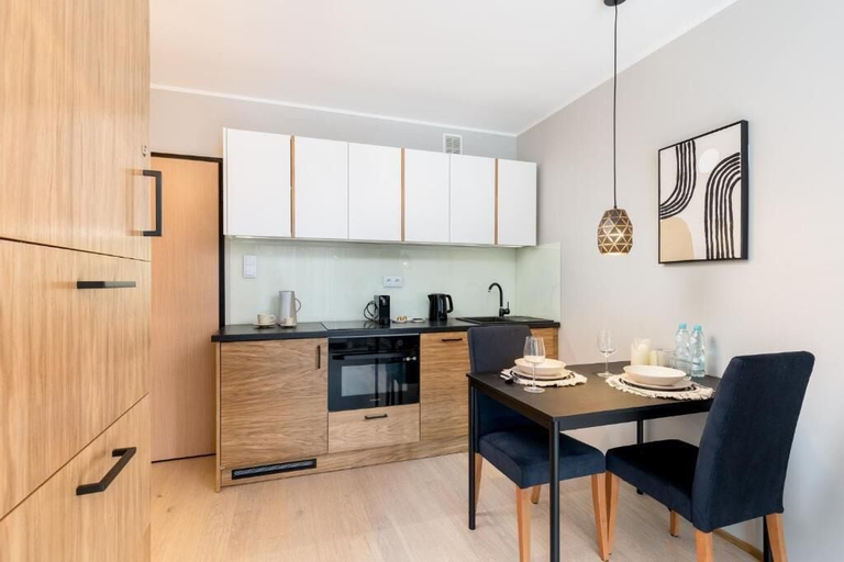 Private kitchen 5, Malila Apartments Cracow Grzegórzecka 15, Kraków City