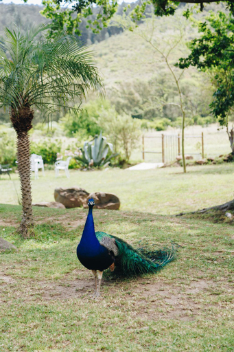 Others 4, The Hamlet, Overberg