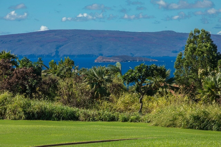 Miscellaneous 4, Wailea Ekolu 408 1 Bedroom Condo, Maui