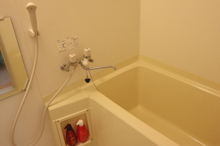 Bathroom 2, pier21, Hakodate