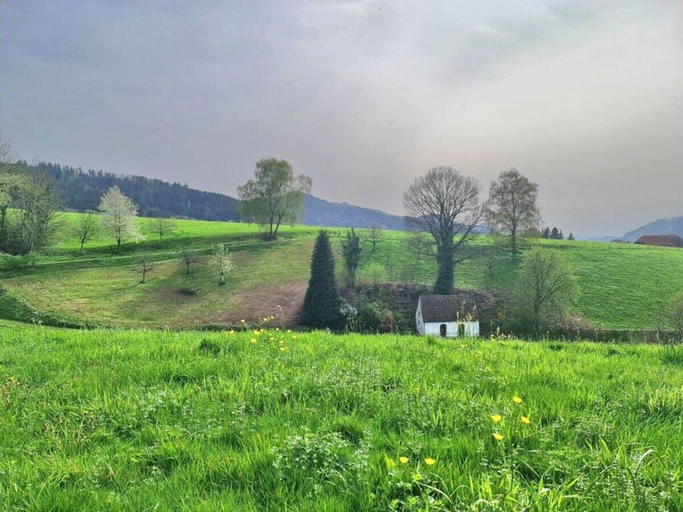 Property grounds, on the Avenue Comfortable Holiday Residence, Emmendingen