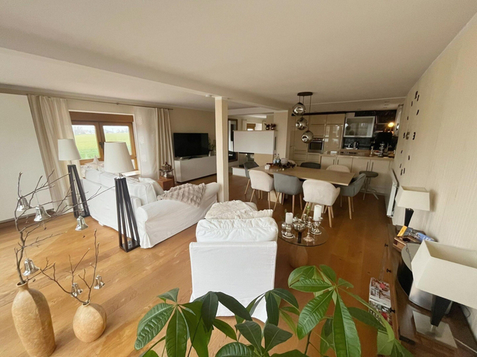 Living room 2, Lieblingsplatz Appartement, Mittelsachsen