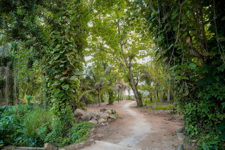 Others 5, Surf Range, Matara Four Gravets