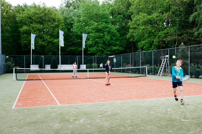 Sport court, Holiday Home in Scherpenzeel Near Nature Park, Scherpenzeel