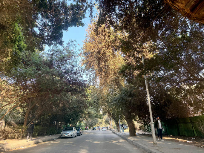 Others 4, Boutique Residence Canal House-Lemon Spaces Maadi, Al-Ma'adi