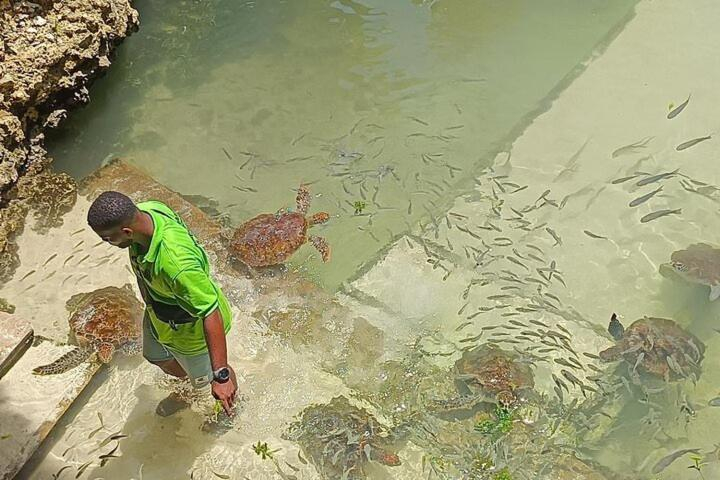 5, The Lagoons Turtle Resort, Kaskazini 'A'