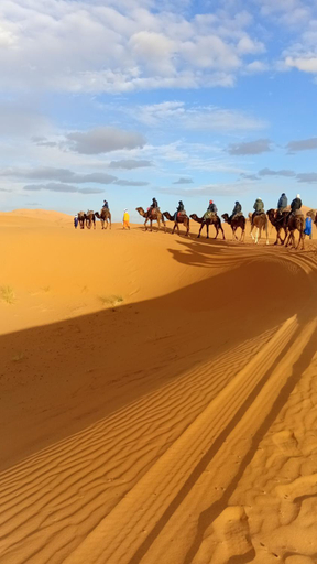 Others 5, Luxury Camp Sahara, Errachidia