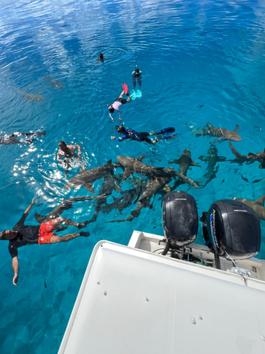 Others 4, Island Scuba