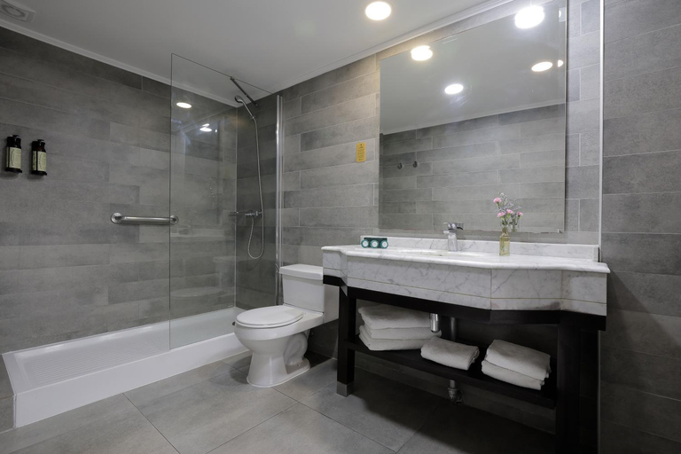 Bathroom 4, Hotel Neruda, Santiago