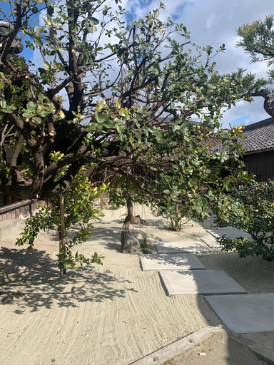 Garden 2, citrus house, Wakayama