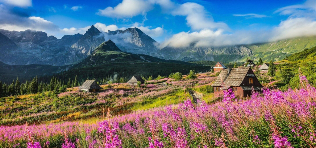 View from property 4, Comfortable Holiday Home in a Mountain Style, Tatra