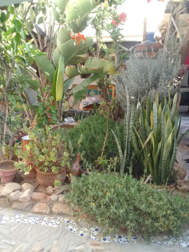 Others 3, Diabat hostel, Essaouira
