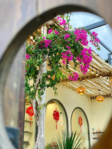 Food & Drinks 5, The Moon Muine Homestay, Phan Thiết