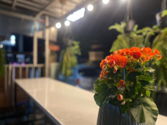 Others 5, DD Place, Muang Chiang Mai