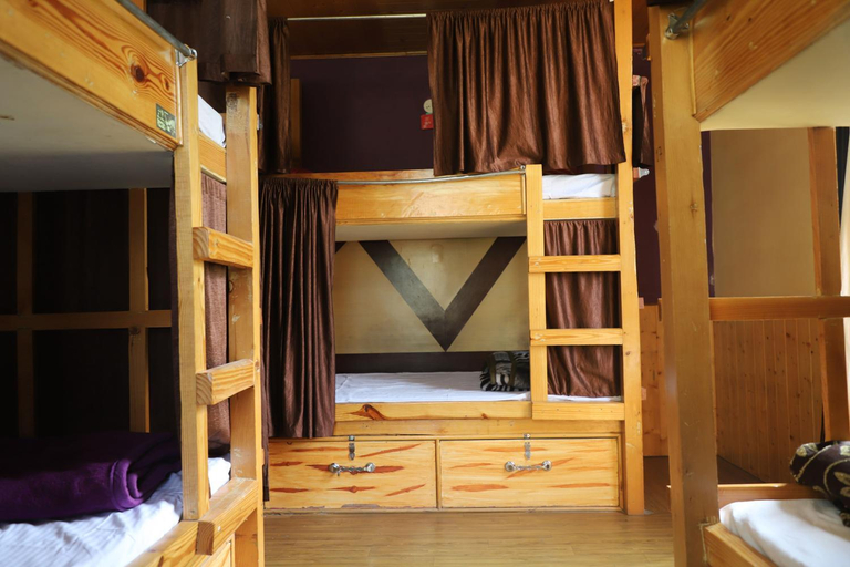 Bedroom 4, Backpacker's Stop, Kullu