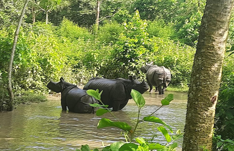 Others 3, Ecopark Homestay, Narayani