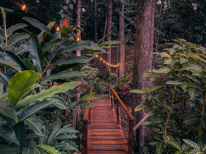 Others 2, Gaia Nature Lodges at Bluff Beach, Bocas del Toro