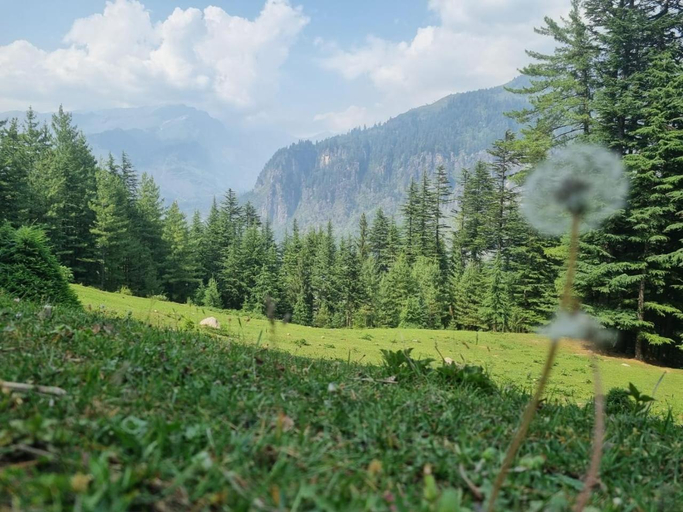 Others 2, Janki's Commune - An Earthen Stay Amidst Old Manali, Kullu