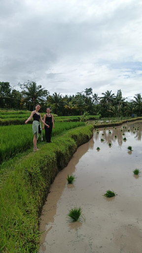 Others 3, Stay Together, Lombok