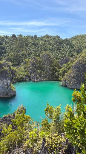 Others 3, Snonbepur homestay Raja Ampat, Raja Ampat