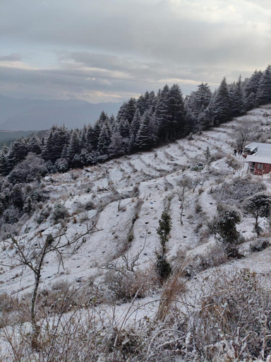 Others 5, Kanatal Majestic Resort By RIHS, Tehri Garhwal
