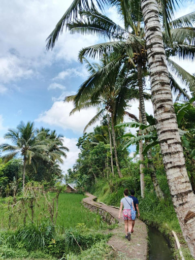 Others 2, Citra Homestay, Lombok