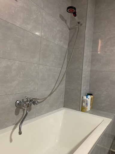 Bathroom 3, Chinese home