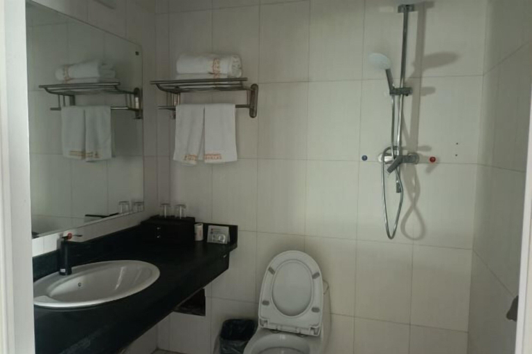 Bathroom 4, Gongliu Yongshun Hotel, Ili Kazakh