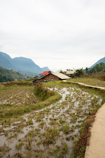 Others 2, Homestay & Trekking Sapa Tom Tom, Sa Pa