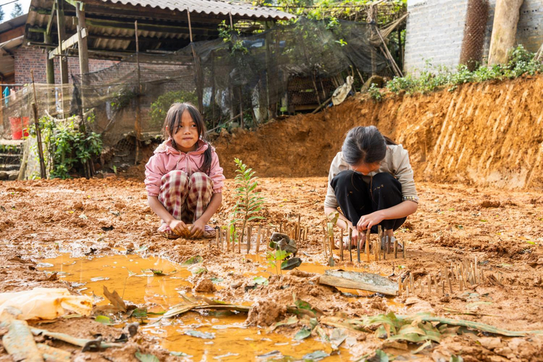 Others 4, Homestay & Trekking Sapa Tom Tom, Sa Pa