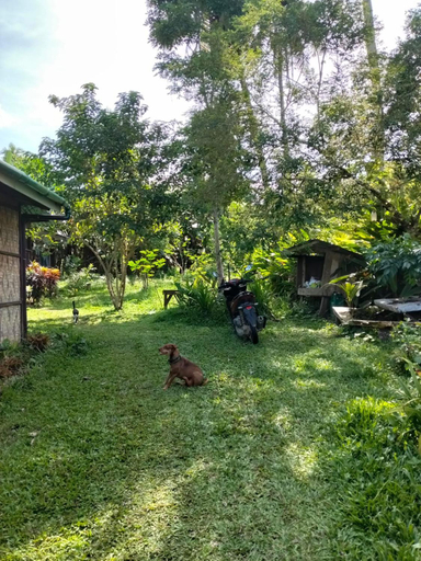 Others 3, Izzahjay homestay, Burgos