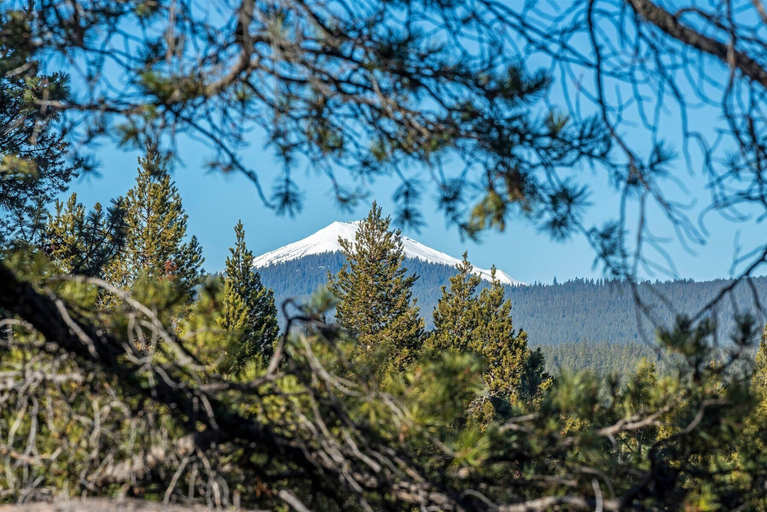 Interior 1, Yellow Pine 10, Deschutes